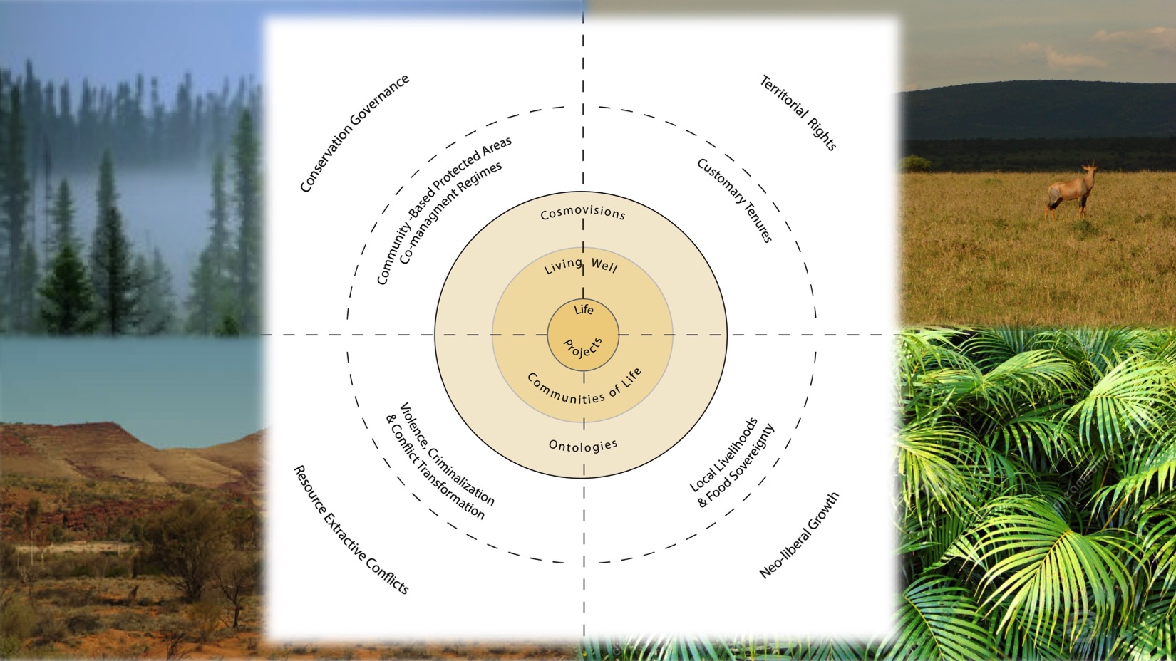 CICADA conceptual scheme