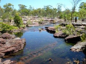 Plateau water course typical in Western Arnhem Land, Kuninjku (Bininj) country (Source: Bininj Kunwok, http://bininjgunwok.org.au/bim/). 