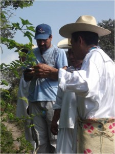 Participatory Action Research - In northern Veracruz, Mexico, the Centre for Tropical Research from the University of Veracruz aims to apply agroecological restoration research closely collaborating with local indigenous organizations and communities during all stages.