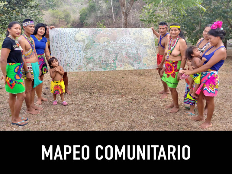 Mapeo Comunitario