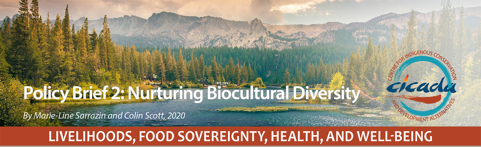Policy Brief 2: Livelihoods, Food Sovereignty, Health, and Well-Being