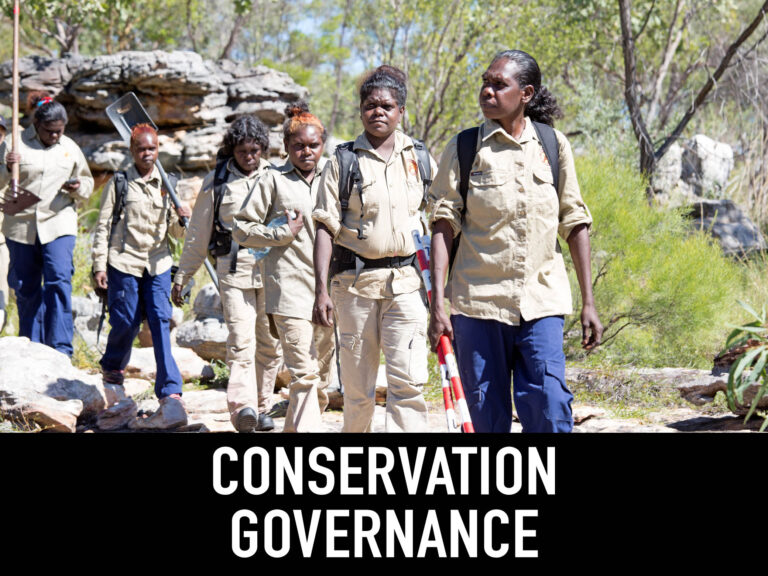 Conservation governance