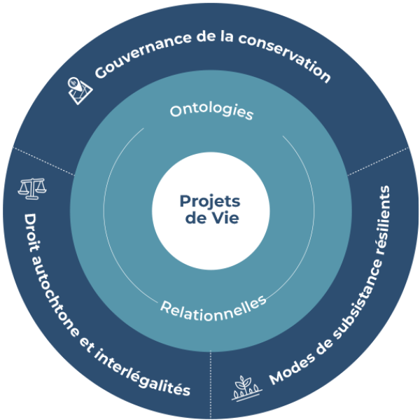 infografia_CICADA_FRANCES