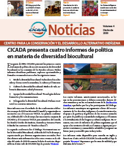 CICADA Boletín No. 4