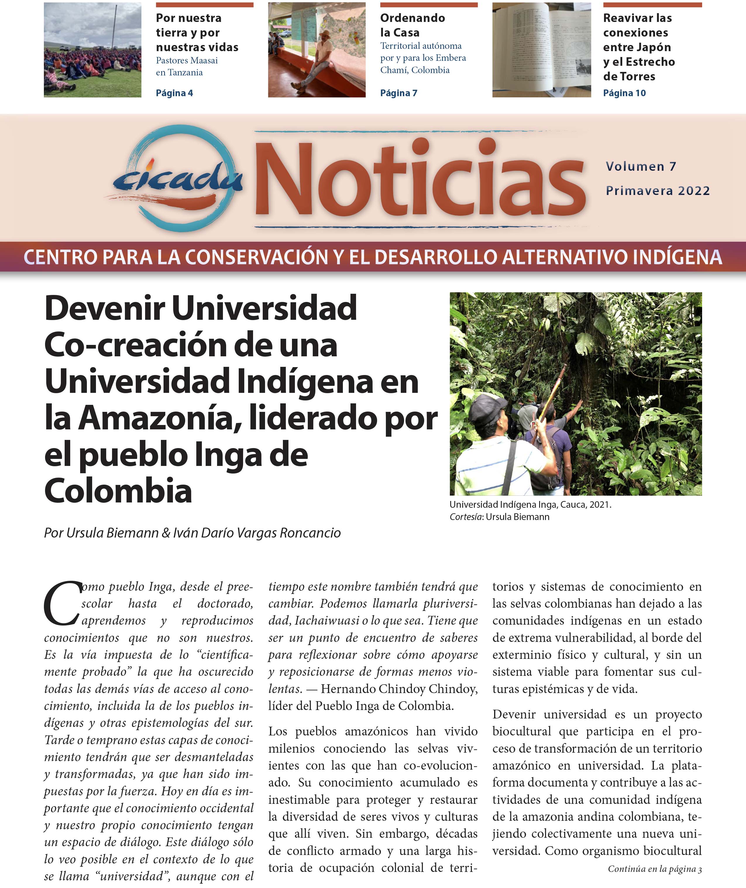 CICADA Boletín No. 7