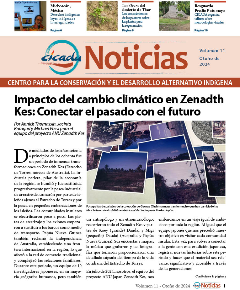 CICADA Boletín No. 11