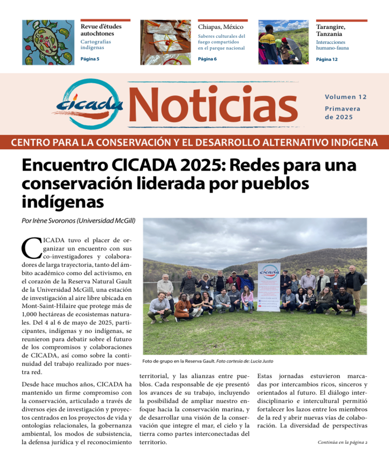 CICADA Boletín No. 12