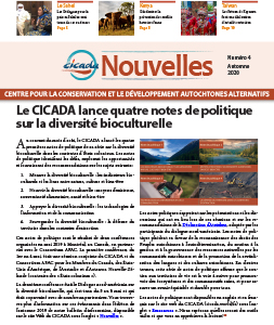 CICADA Bulletin Numéro 4