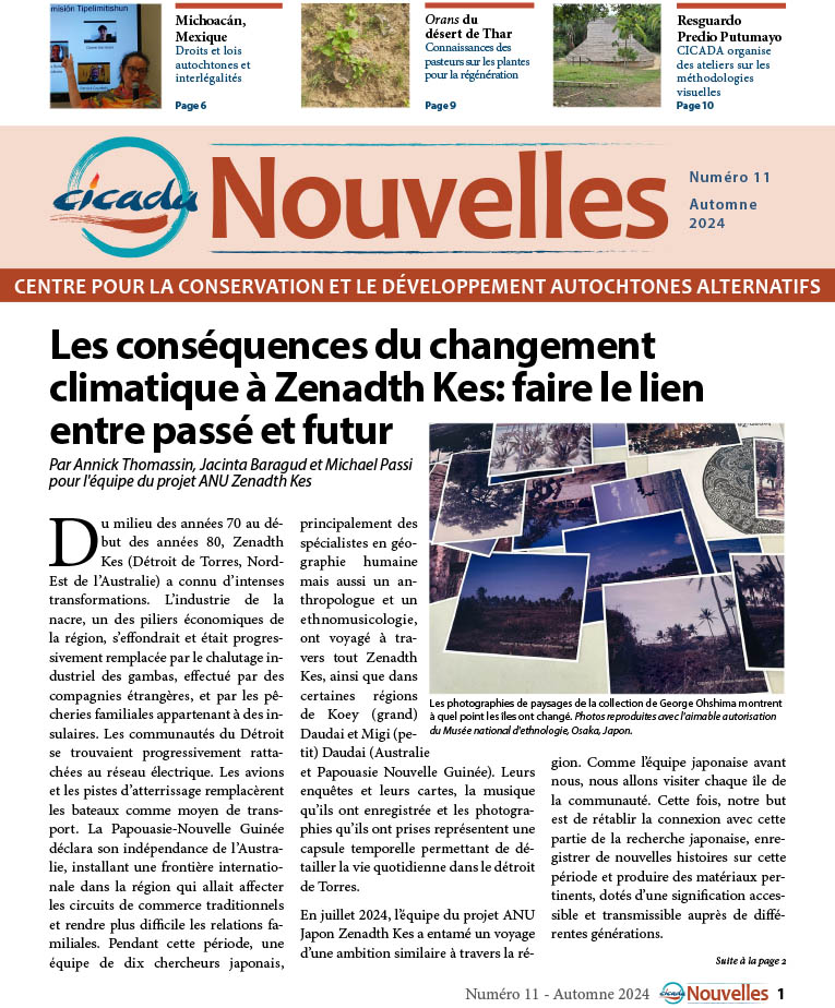 CICADA Bulletin Numéro 11